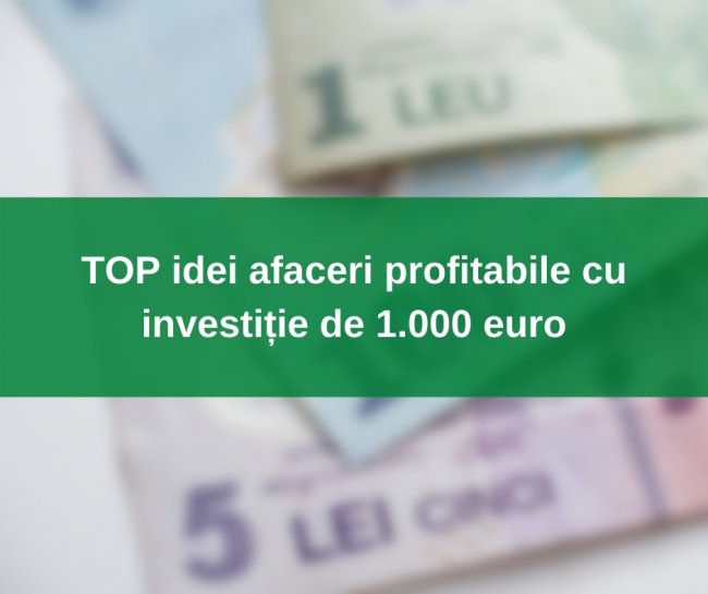 TOP idei afaceri profitabile cu investiție de 1.000 euro